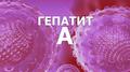 ВИРУСНЫЙ ГЕПАТИТ А И ЕГО ПРОФИЛАКТИКА
