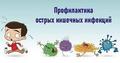 ПРОФИЛАКТИКА КИШЕЧНЫХ ИНФЕКЦИЙ