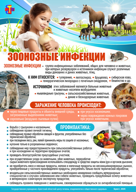 ПРОФИЛАКТИКА ЗООНОЗНЫХ ИНФЕКЦИЙ