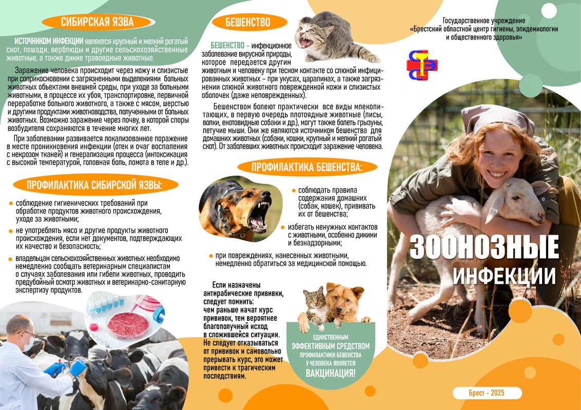 ПРОФИЛАКТИКА ЗООНОЗНЫХ ИНФЕКЦИЙ