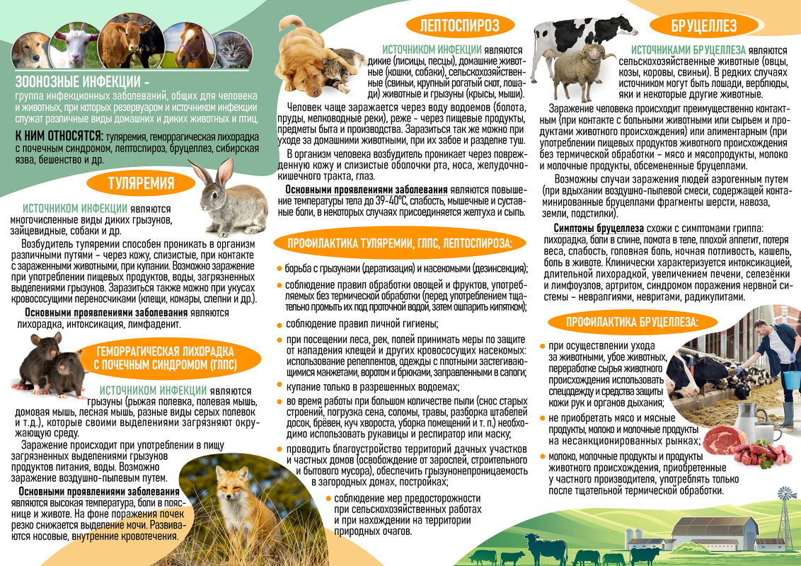 ПРОФИЛАКТИКА ЗООНОЗНЫХ ИНФЕКЦИЙ