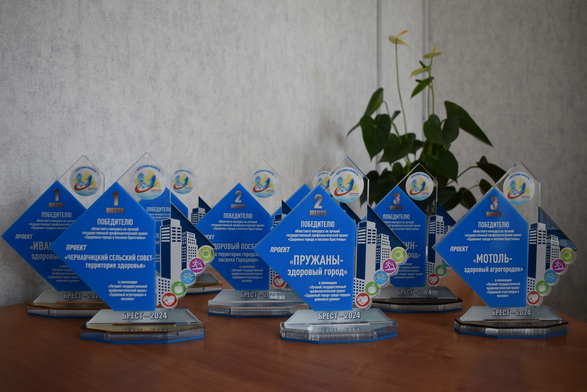 НАГРАЖДЕНЫ ПОБЕДИТЕЛИ ОБЛАСТНОГО КОНКУРСА НА ЛУЧШИЙ ГОСУДАРСТВЕННЫЙ ПРОФИЛАКТИЧЕСКИЙ ПРОЕКТ «ЗДОРОВЫЕ ГОРОДА И ПОСЕЛКИ» БРЕСТЧИНЫ!»